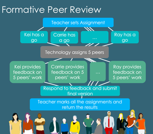 Formative peer review